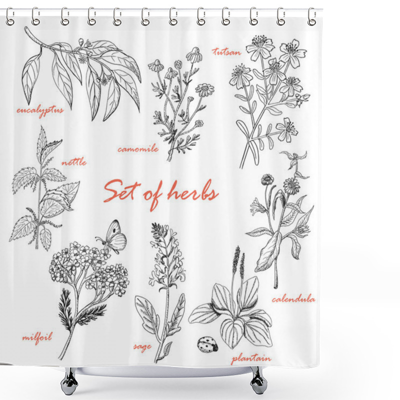 Personality  Set of isolated herbs in sketch style shower curtains