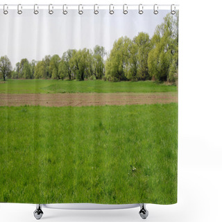 Personality  Field And Trees Shower Curtains