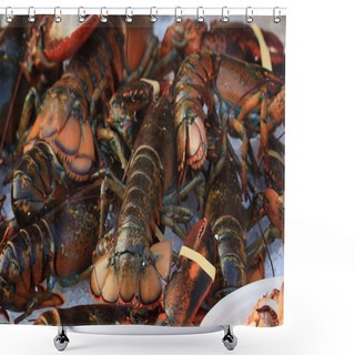 Personality  Spiny Lobster In Market Shower Curtains
