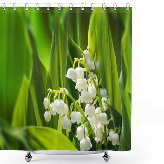 Personality  Blooming Lily Of The Valley In Spring Garden Shower Curtains
