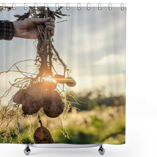 Personality  A Bush Of Young Fresh Potatoes  Shower Curtains