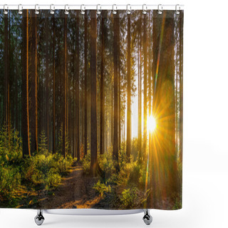 Personality  Silent Forest In Spring With Beautiful Bright Sun Rays - Wanderlust Shower Curtains