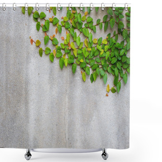 Personality  Coatbuttons Or Mexican Daisy On Concrete Wall, Copyspace Shower Curtains