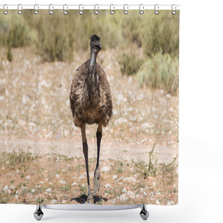 Personality   Emu Walking In Nature Shower Curtains