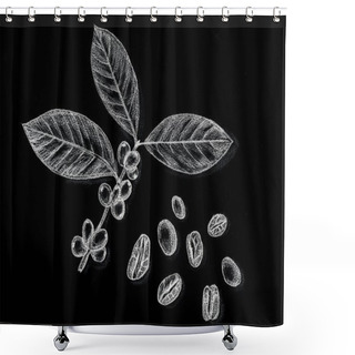 Personality  Coffee Branch And Coffee Beans. Hand Draw Pencil. Imitation Drawing With Chalk Shower Curtains