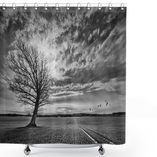 Personality  Oak Tree On Crop Field With Incoming Crane Birds Shower Curtains