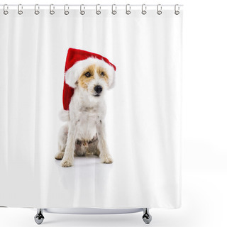 Personality  Russell Terrier Dog In Santa Hat Shower Curtains
