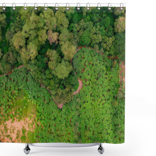 Personality  Aerial View On Banana Plantation Bordered Wit A Primal Virgin Forest Of Manyara National Park Concervation Area In East Africa, Tanzania Shower Curtains