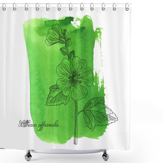 Personality  Vector Drawing Marsh-mallow Shower Curtains