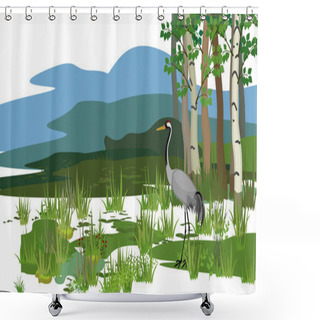 Personality   Ecosystem Of Swamp And Common Crane Shower Curtains