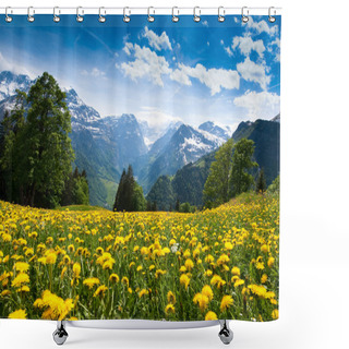 Personality  View From Braunwald Shower Curtains