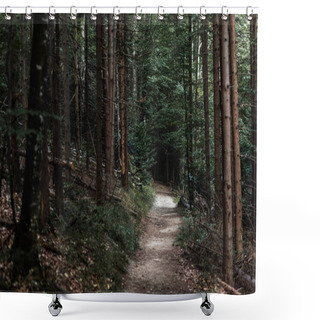 Personality  Selective Focus Of Sunshine On Path Near Fir Trees In Woods  Shower Curtains