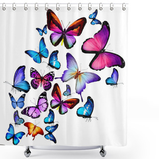 Personality  Many Different Butterflies Flying, Isolated On White Background Shower Curtains