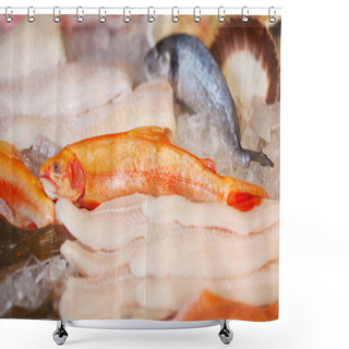 Personality  Seafood Lying In Cabinet Shower Curtains