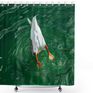 Personality  Single Wild Gray Duck But With Tail Floating On The River Water. Shower Curtains