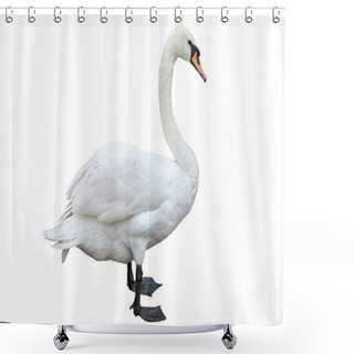 Personality  White Swan  Isolated On White Background Shower Curtains