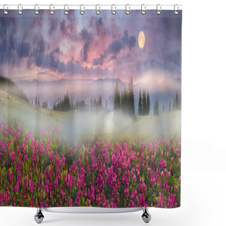 Personality  Blooming Summer  Field Shower Curtains