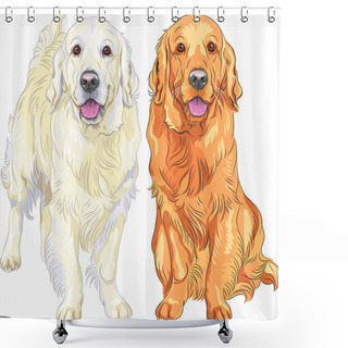 Personality  Smiling Pale And Red Gun Dog Breed Golden Retriever Sitting And Staying Shower Curtains
