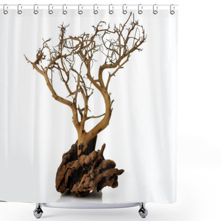 Personality  Dry Tree Shower Curtains