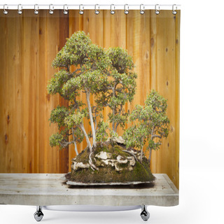 Personality  Elm Bonsai Tree Forest Against Wood Fence Shower Curtains