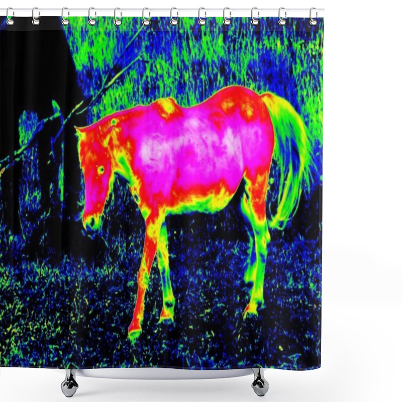 Personality  Infrared Foal Pony Horse Shower Curtains