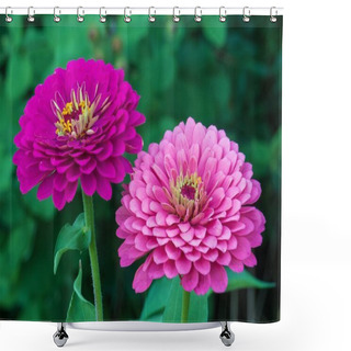 Personality  Pair Of Pink Zinnias Shower Curtains