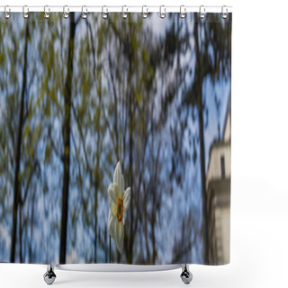 Personality  Low Angle View Of Narcissus Flower Outdoors, Banner  Shower Curtains