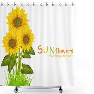 Personality  Three Vector Sunflowers On A White Background Shower Curtains