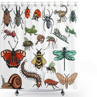Personality  Set Of Insects Shower Curtains