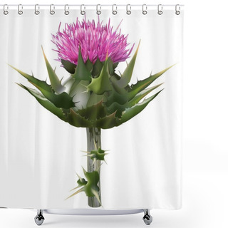 Personality  Milk Thistle Shower Curtains