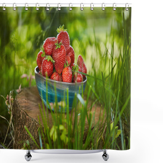 Personality  Fresh Sweet Strawberries In Bowl On Stump Shower Curtains