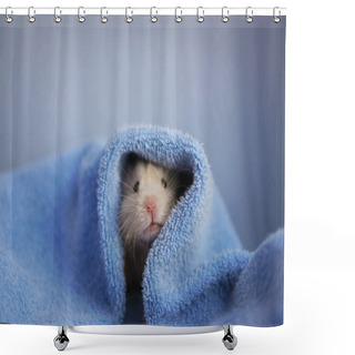 Personality  Beige Hamster Under Blue Cover Shower Curtains