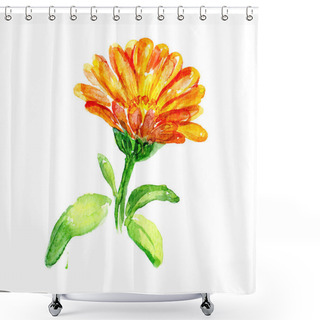 Personality  Hand Drawn Watercolor Calendula Flower Illustration Isolated White Background.  Colorful Painted Sketch Botanical Herbs Image Shower Curtains
