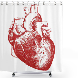 Custom  Sketch Of Cardio Organ Shower Curtains